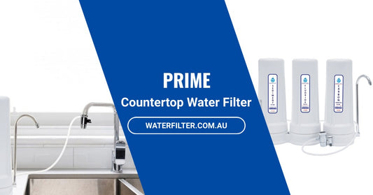 WFL Prime Countertop Water Filter