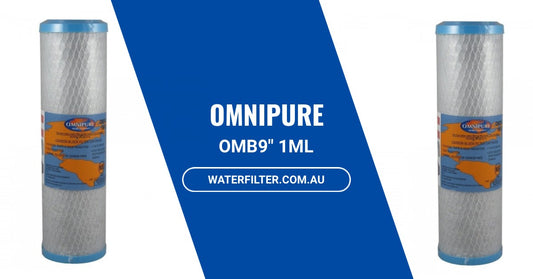 What You Need to Know About the Omnipure OMB9" 1ML