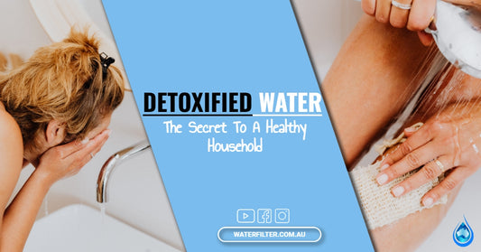 Detoxified Water - The Secret to a Healthy Household