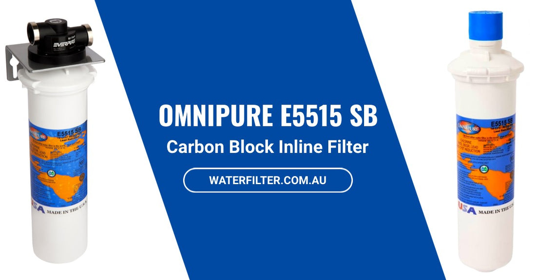 What You Need to Know About the Omnipure E5515 SB