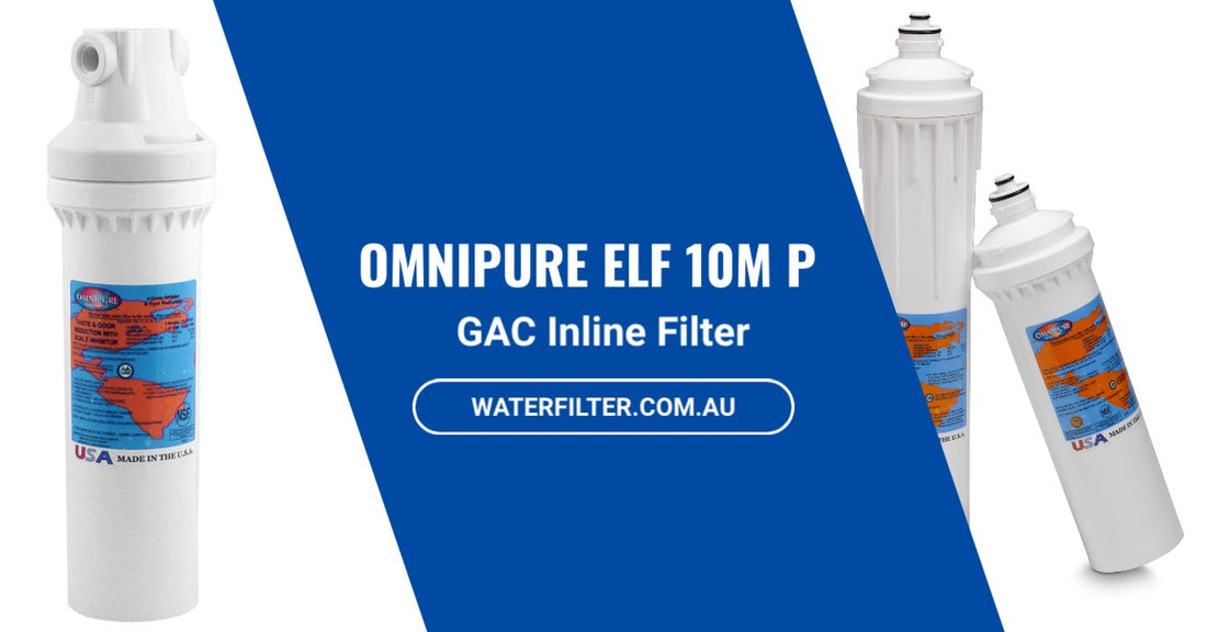 What You Need to Know About the Omnipure ELF 10M P