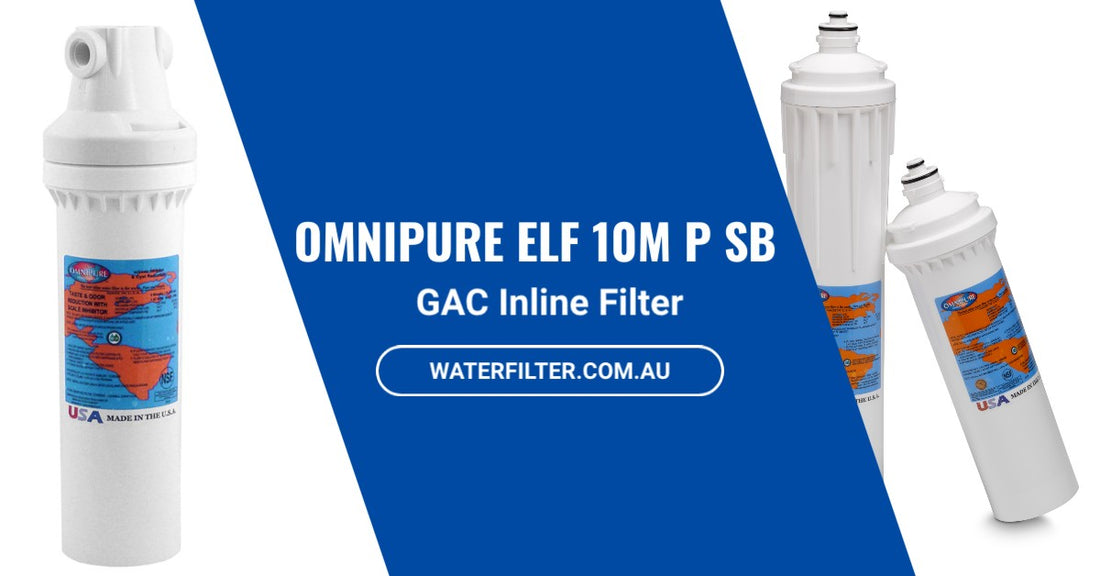 What You Need to Know About the Omnipure ELF 10M P SB