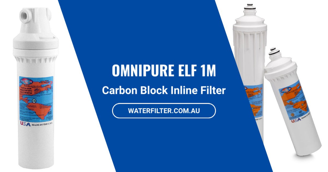 What You Need to Know About the Omnipure ELF 1M