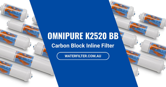 What You Need to Know About the Omnipure K2520 BB