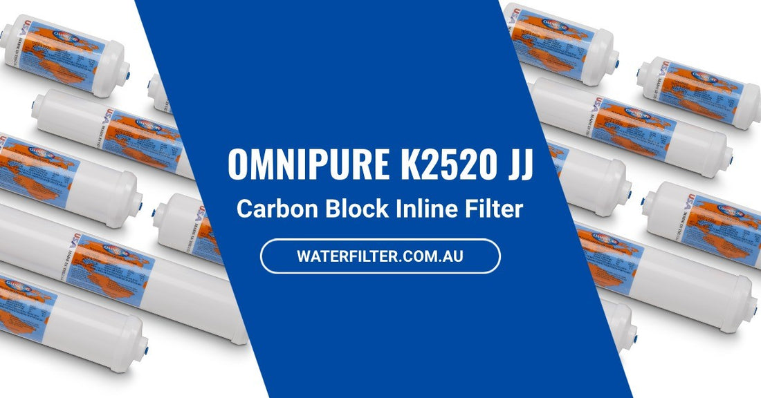 What You Need to Know About the Omnipure K2520 JJ