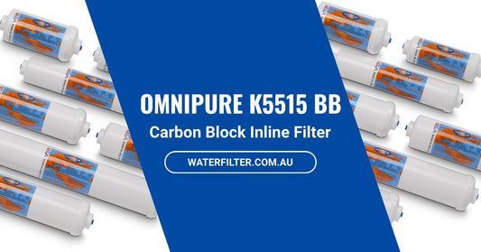 What You Need to Know About the Omnipure K5515 BB