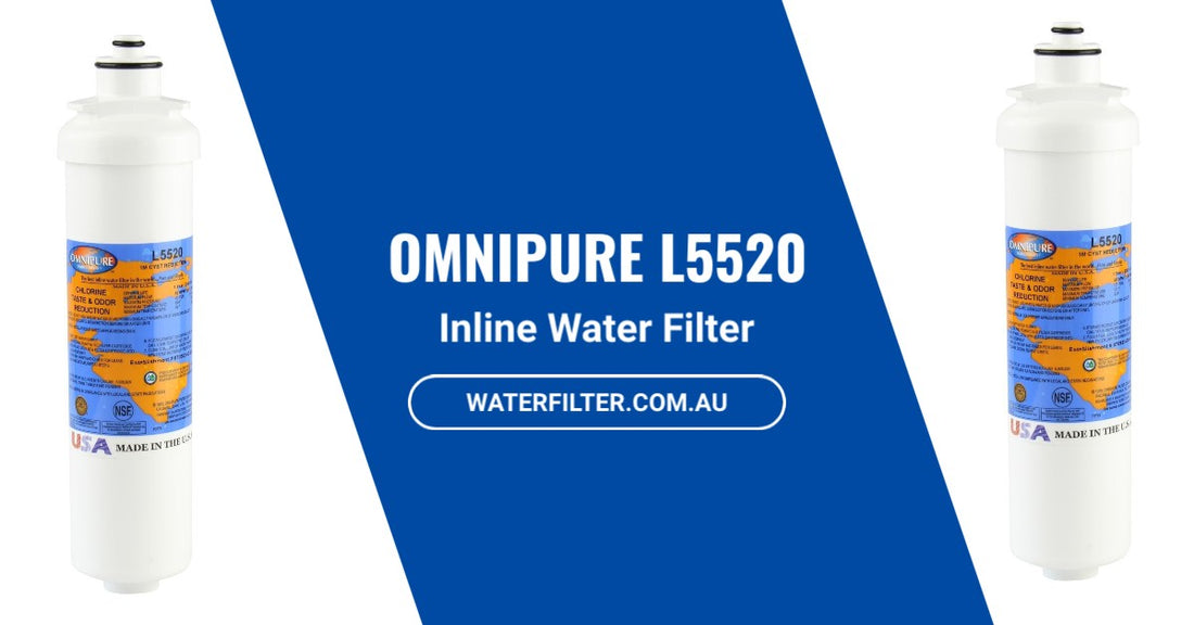 What You Need to Know About the Omnipure L5520