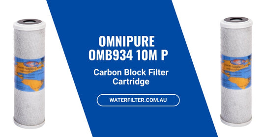 What You Need to Know About the Omnipure OMB934 10M P