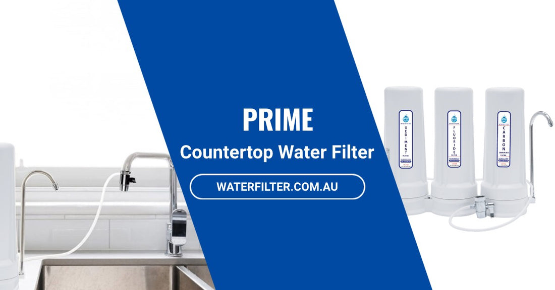WFL Prime Countertop Water Filter
