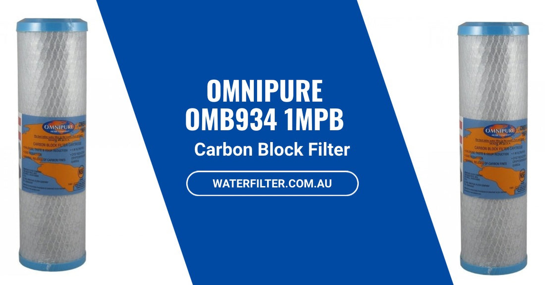 What You Need to Know About the Omnipure OMB934 1MPB